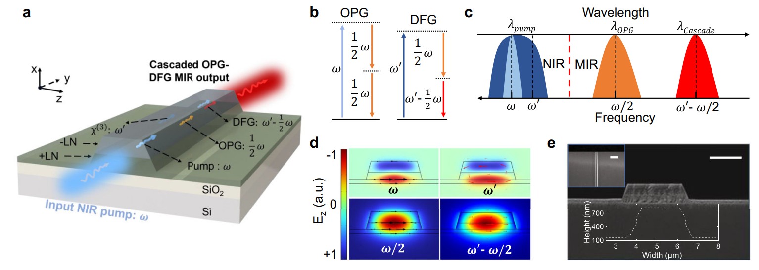 屏幕截图 2025-11-17 084955.jpg